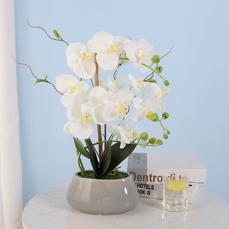 Phalaenopsis orchid film feel simulation flower pot