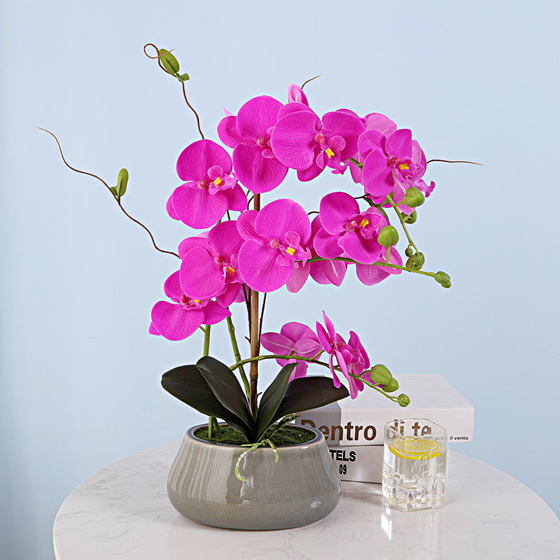 Phalaenopsis orchid film feel simulation flower pot