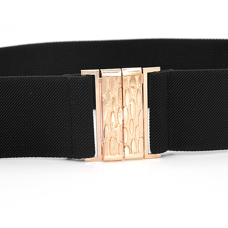 Spring and Autumn New Elastic Fashion Elastic Belt