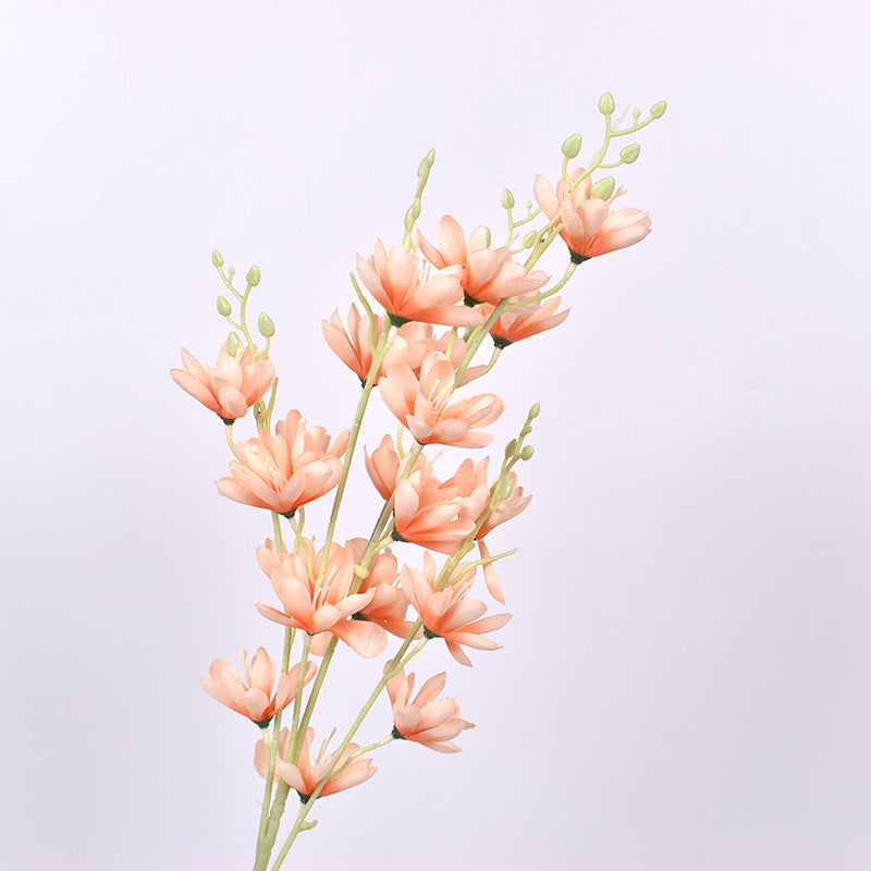 Simulación de Nueva Magnolia No. 1 Magnolia Europea