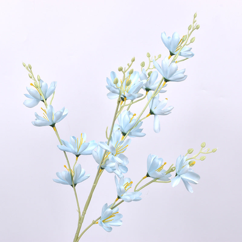 Simulación de Nueva Magnolia No. 1 Magnolia Europea