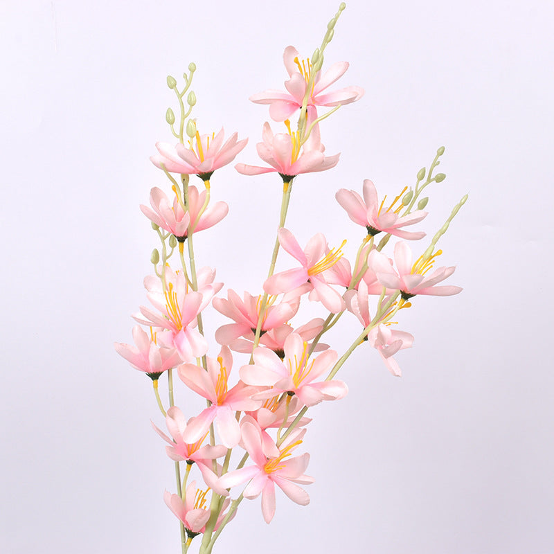Simulación de Nueva Magnolia No. 1 Magnolia Europea