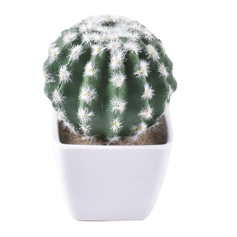 Simulación de mini cactus suculentos.
