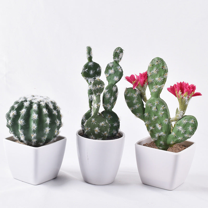 Simulación de mini cactus suculentos.
