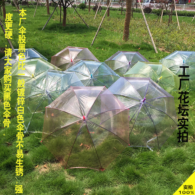 Transparent Colorful Long Handle Umbrella