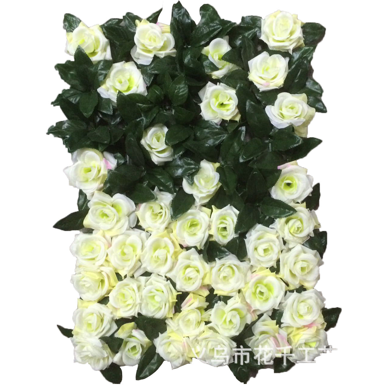 Rose Wall