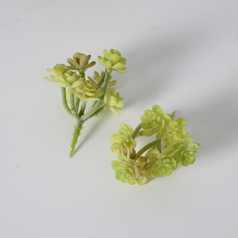 Simulation succulent flocking plants 34 heads of cactus
