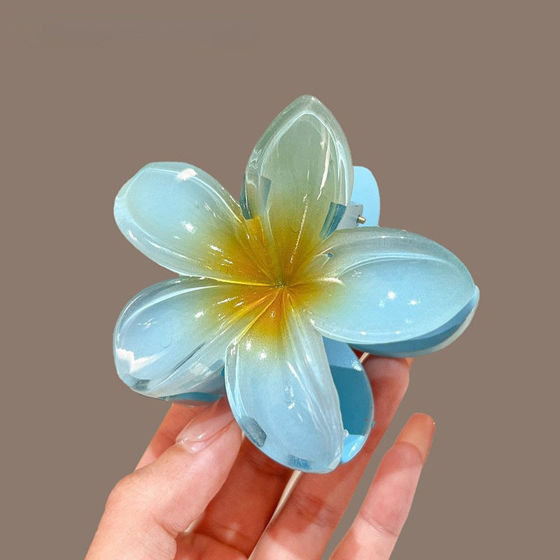 Accesorios para el cabello con forma de disco y horquilla con forma de flor