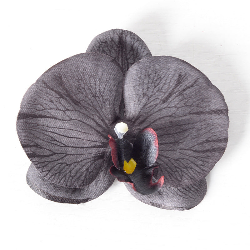 Filme de simulação de pétalas de cabeça de flor de orquídea Phalaenopsis