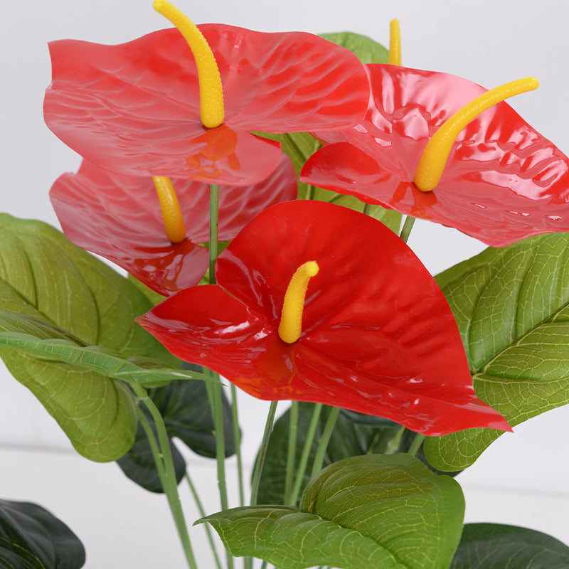 Simulación de 18 grandes flores de anturio rojo.