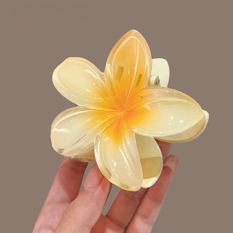 Accesorios para el cabello con forma de disco y horquilla con forma de flor