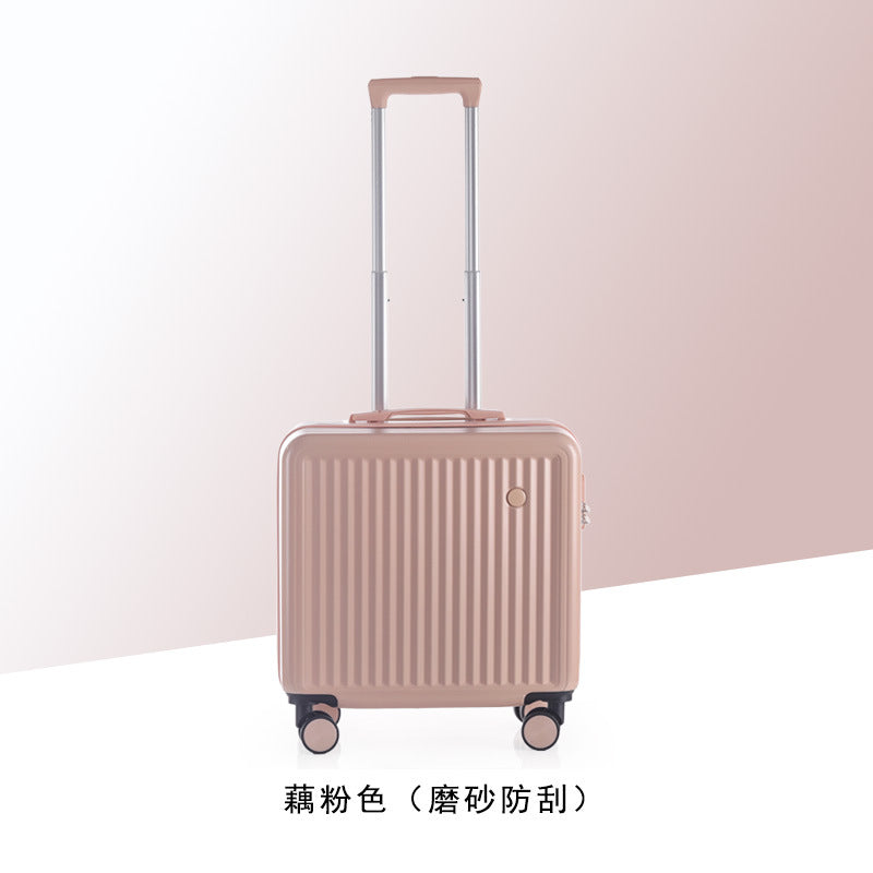 Password suitcase