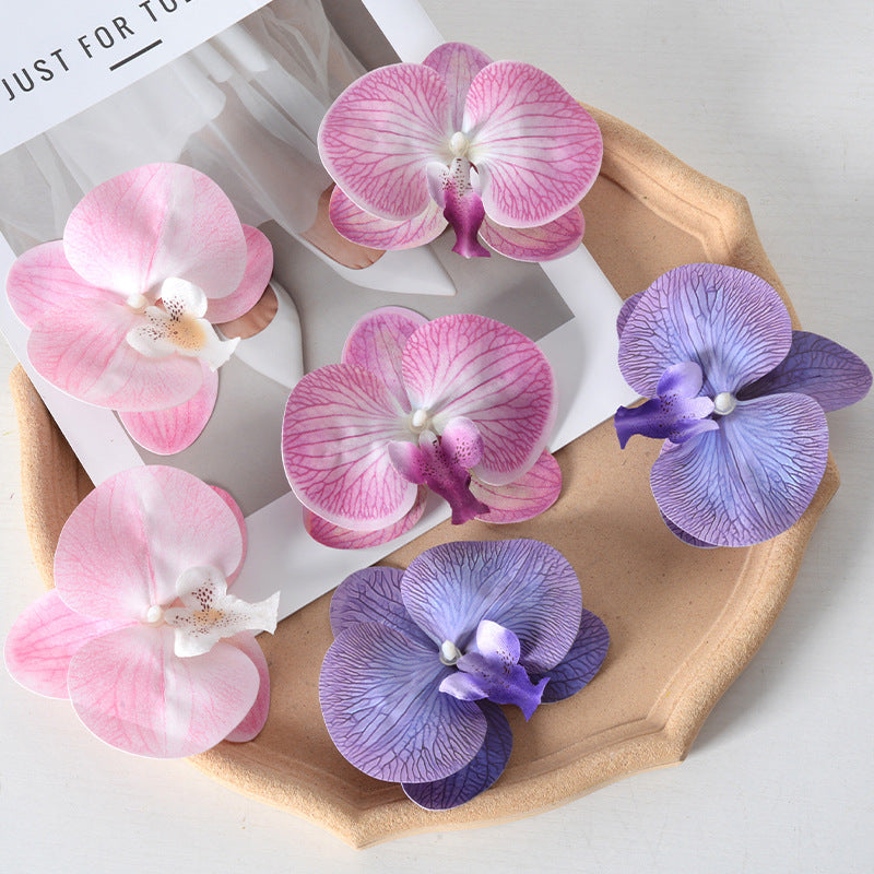 Filme de simulação de pétalas de cabeça de flor de orquídea Phalaenopsis