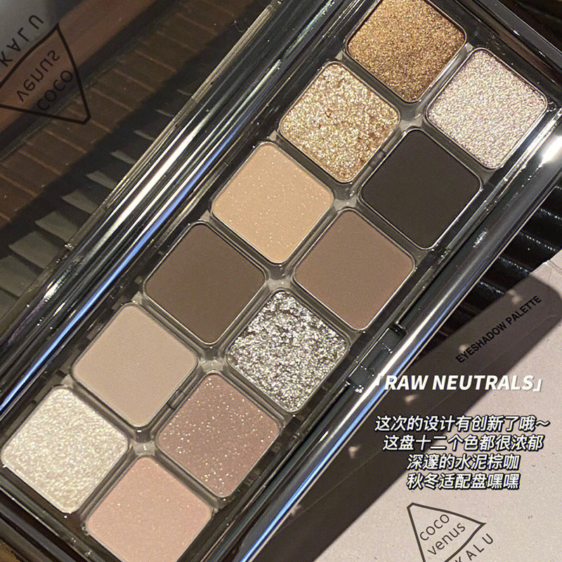 Paleta de sombras de ojos en tonos tierra mate de 12 colores