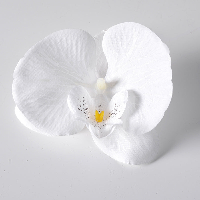 Filme de simulação de pétalas de cabeça de flor de orquídea Phalaenopsis