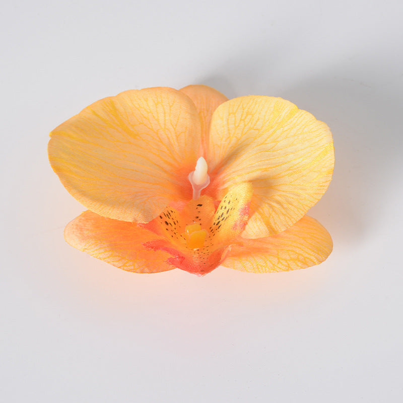 Filme de simulação de pétalas de cabeça de flor de orquídea Phalaenopsis