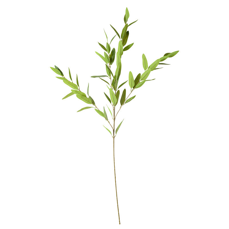 Simulación de hoja de eucalipto, película de eucalipto, hojas de doble cara