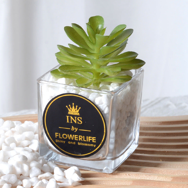 Artificial succulent plants wholesale