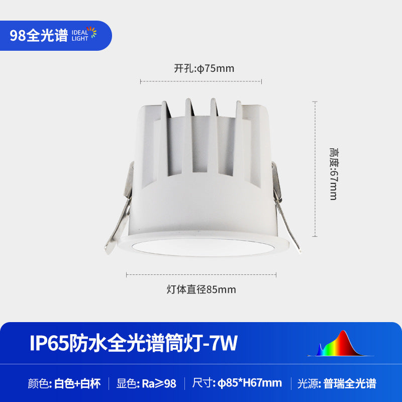 Waterproof downlight cob embedded ceiling spotlight