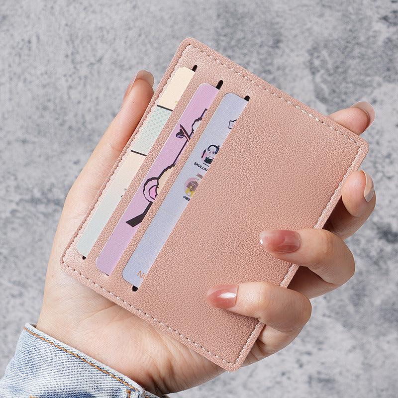 Portable anti-degaussing card bag