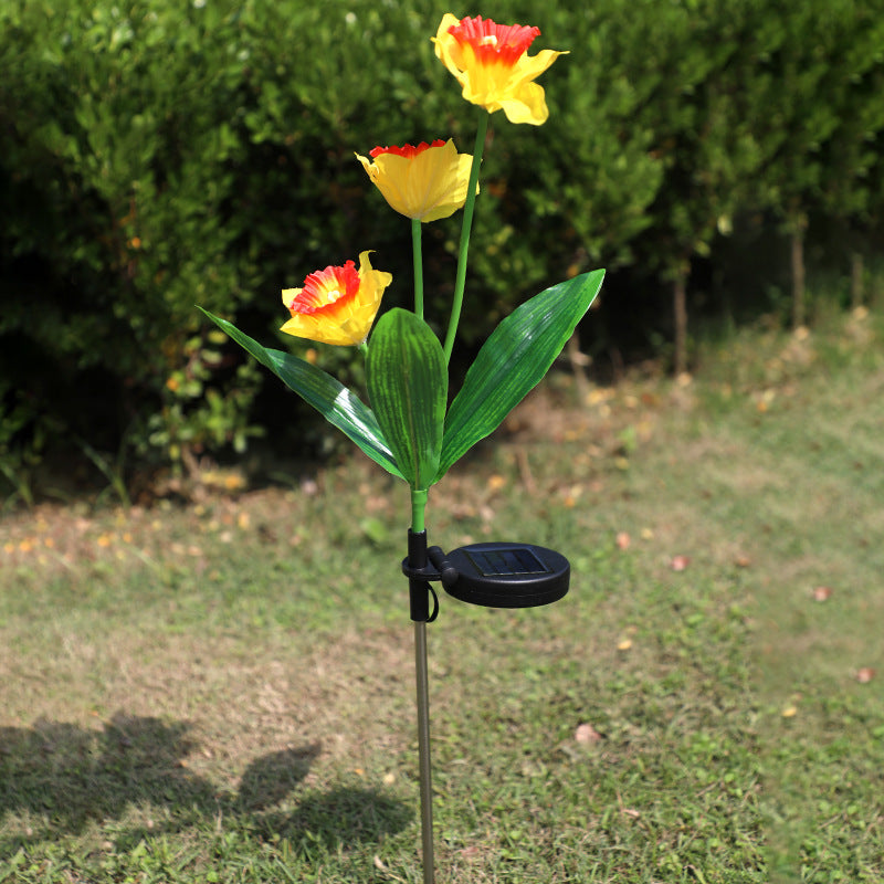 Solar Narcissus lantern