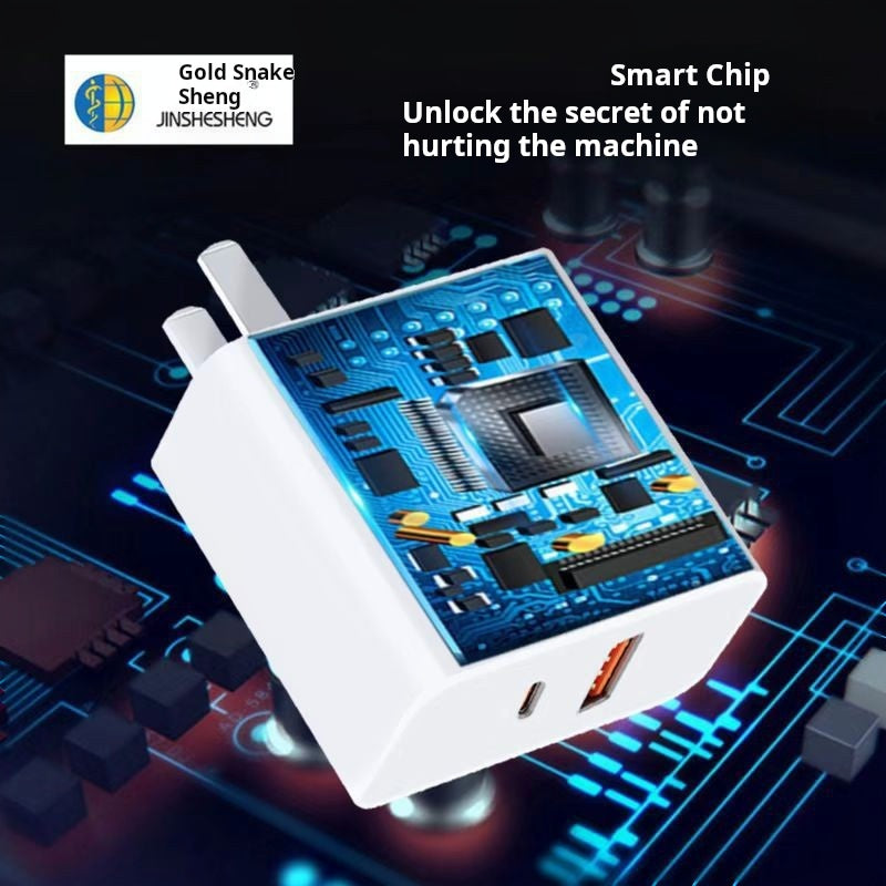 100W Dual-Port USB+PD Fast Charger for All Devices