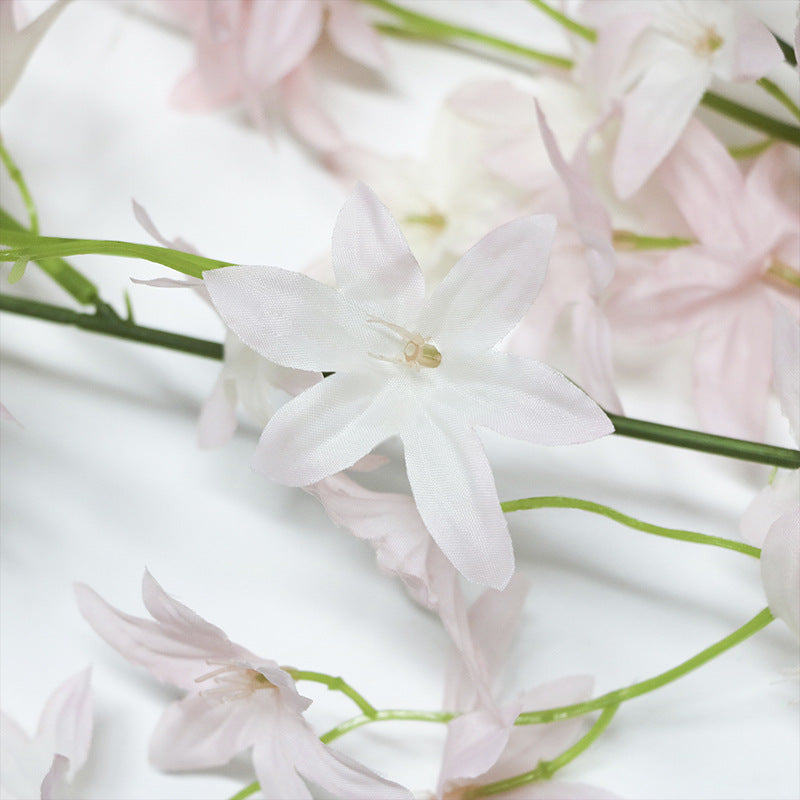 Oncidium simulated cherry blossoms dancing orchid mist flower simulated plants