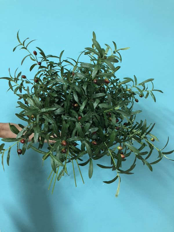 Simulación de rama de olivo y hoja de olivo. 