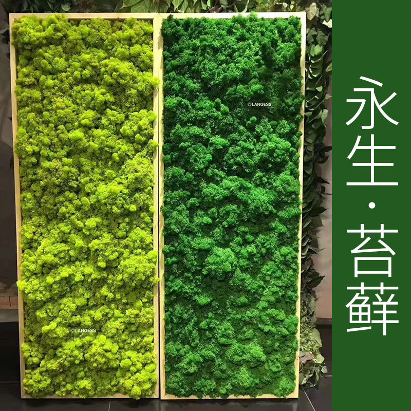 Everlasting moss high simulation moss