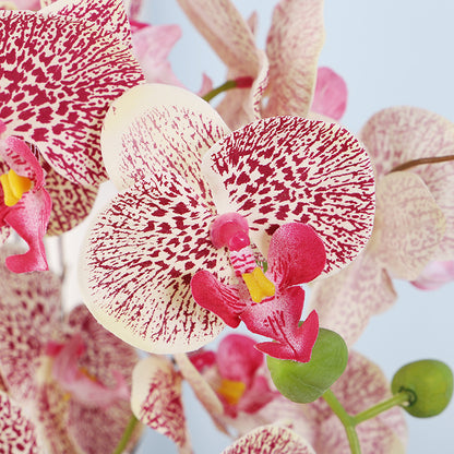 Phalaenopsis orchid film feel simulation flower pot