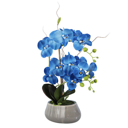 Phalaenopsis orchid film feel simulation flower pot