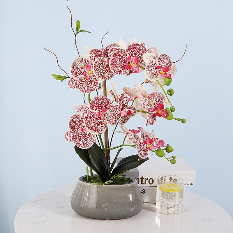 Phalaenopsis orchid film feel simulation flower pot