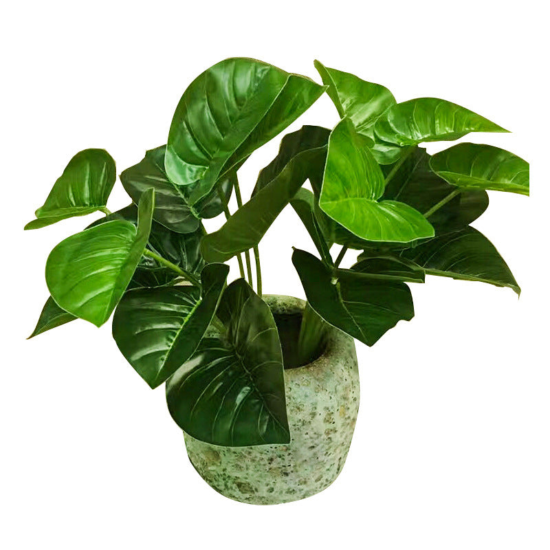 Hoja de tortuga de 11 cabezas altamente simulada. 