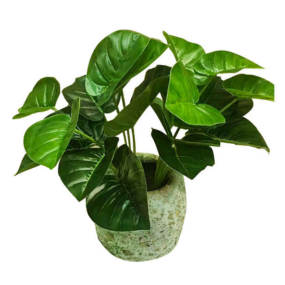 Hoja de tortuga de 11 cabezas altamente simulada. 