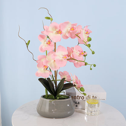 Phalaenopsis orchid film feel simulation flower pot