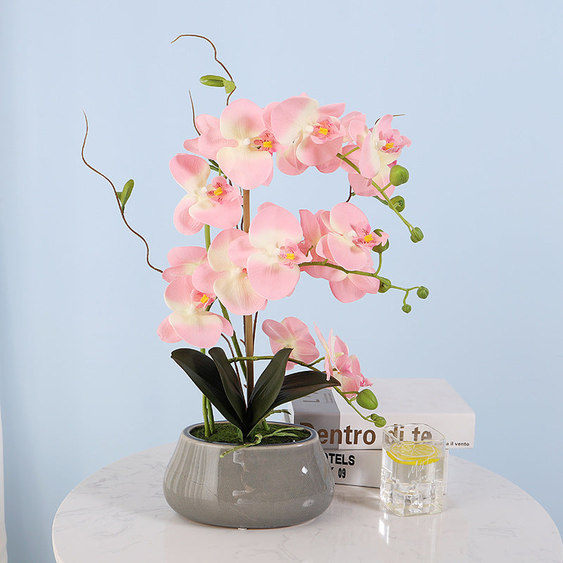 Phalaenopsis orchid film feel simulation flower pot