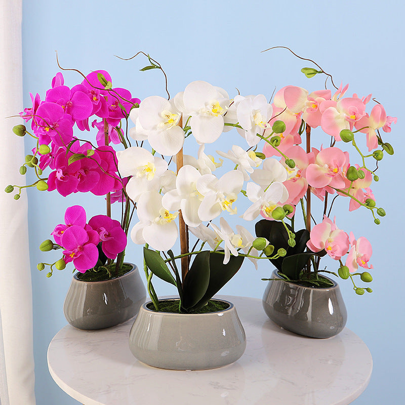 Phalaenopsis orchid film feel simulation flower pot