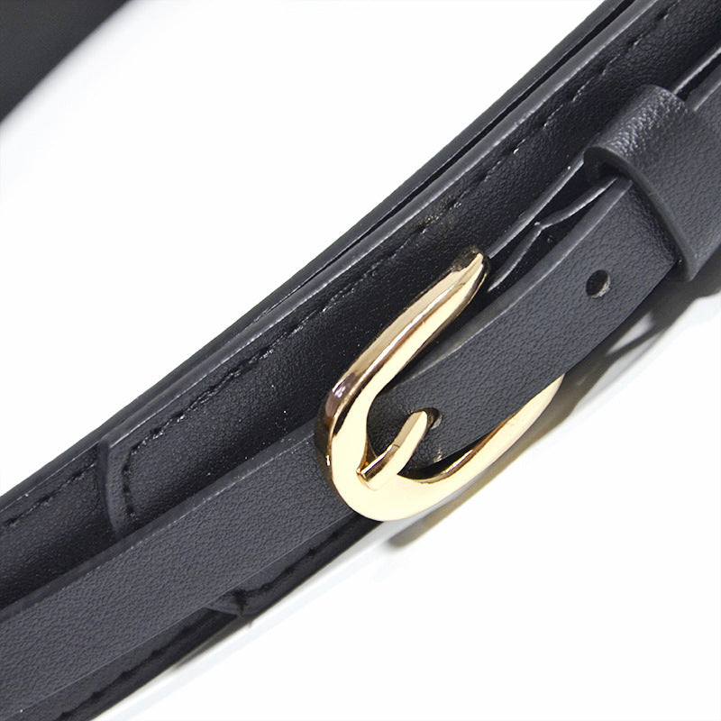 Pin buckle double decorative belt