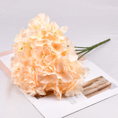 Bouquet of 5 Mallorca hydrangeas