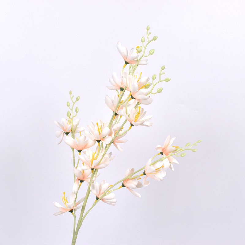 Simulación de Nueva Magnolia No. 1 Magnolia Europea 