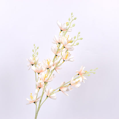 Simulación de Nueva Magnolia No. 1 Magnolia Europea 