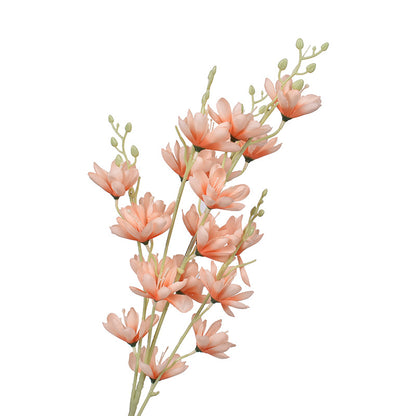 Simulación de Nueva Magnolia No. 1 Magnolia Europea 
