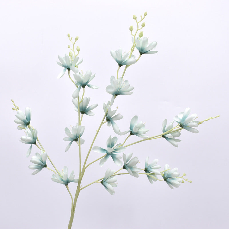 Simulación de Nueva Magnolia No. 1 Magnolia Europea 