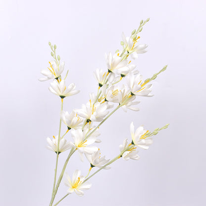 Simulación de Nueva Magnolia No. 1 Magnolia Europea 