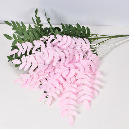 5 manojos de hojas de Sophora japonica 