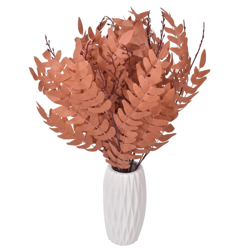 5 manojos de hojas de Sophora japonica 