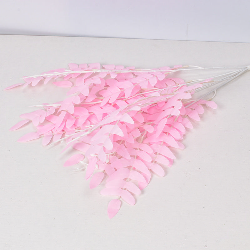 5 manojos de hojas de Sophora japonica 