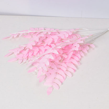 5 manojos de hojas de Sophora japonica 