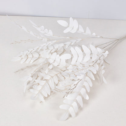 5 manojos de hojas de Sophora japonica 