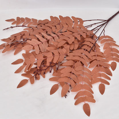 5 manojos de hojas de Sophora japonica 